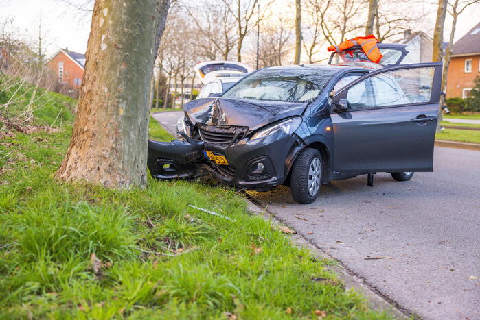 Automobilist botst tegen boom