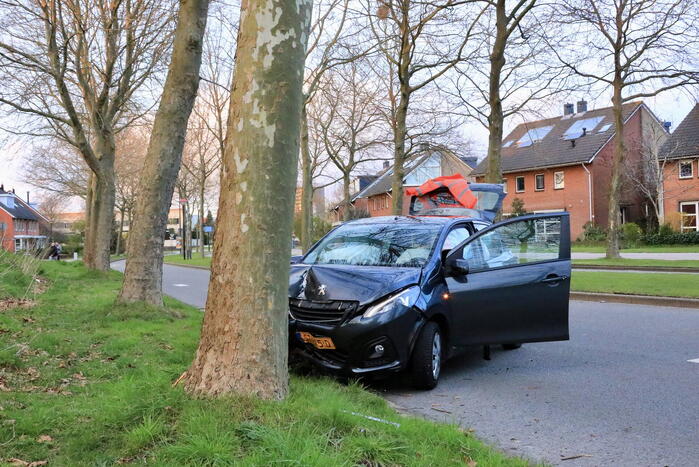 Automobilist botst tegen boom