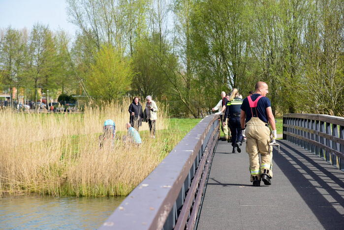 Man glijdt uit en valt in het water