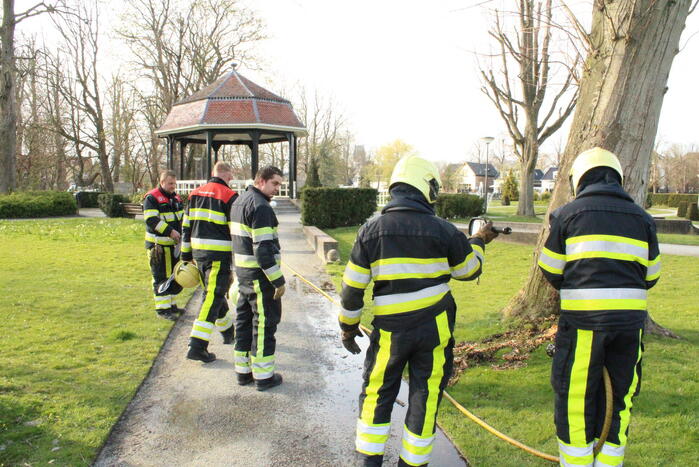 Brandweer blust brand binnenin boom