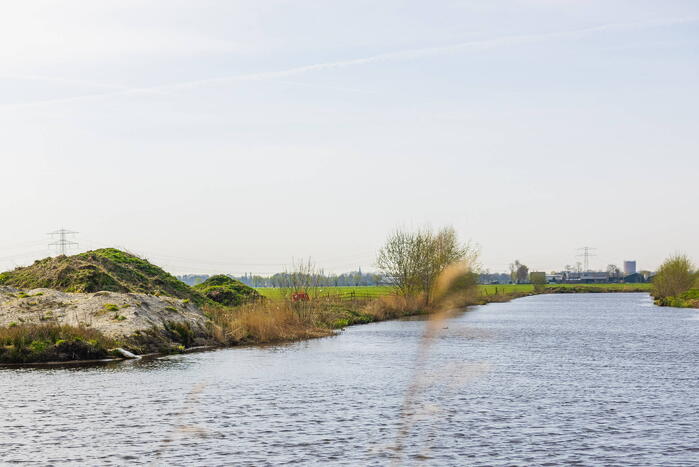 Dode zwaan aangetroffen in sloot Rengerswetering