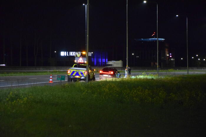 Overstekend wild overleden na ongeval