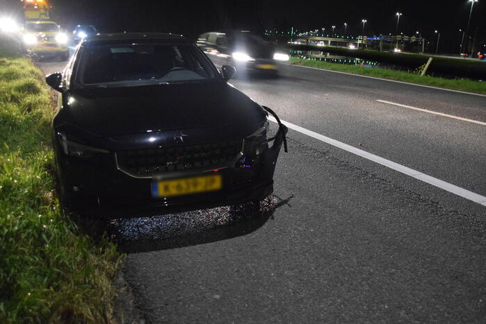 Overstekend wild overleden na ongeval