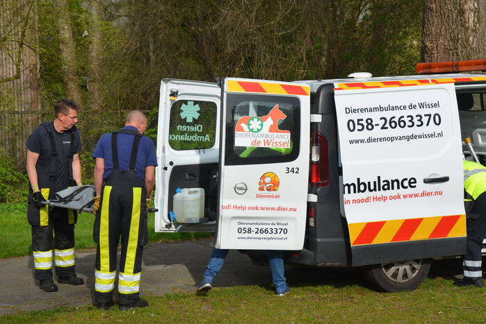 Ree door brandweer gered uit schiphuis
