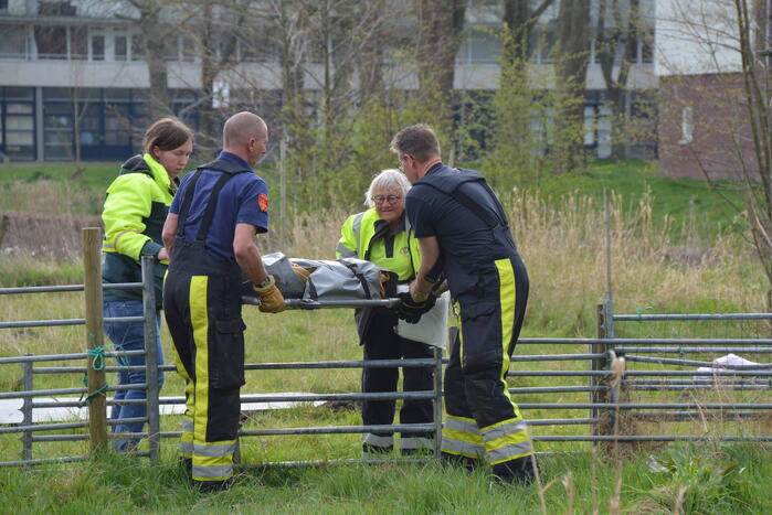 Ree door brandweer gered uit schiphuis