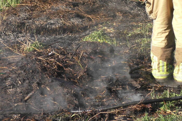 Flinke rookontwikkelingen bij natuurbrand
