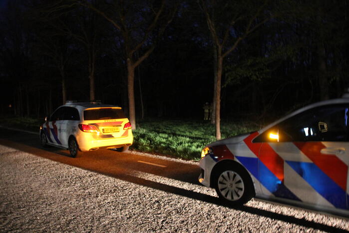 Zoekactie naar vermiste Serval kat