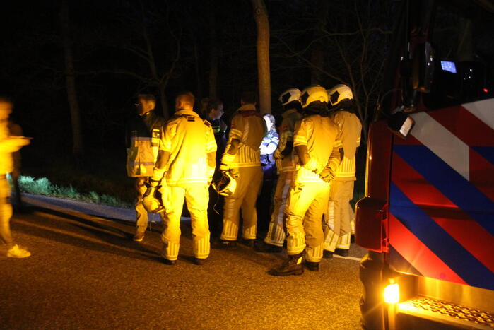 Zoekactie naar vermiste Serval kat