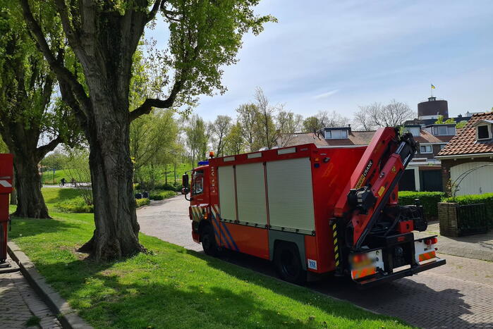 Brandweer haalt vastzittende kat uit boom