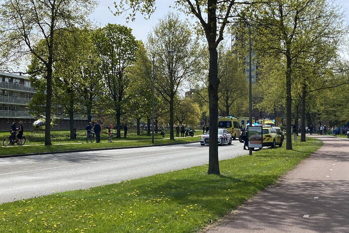 Automobilist botsen frontaal op boom