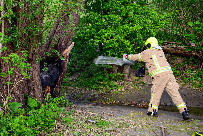 Brandweer blust brandende boom