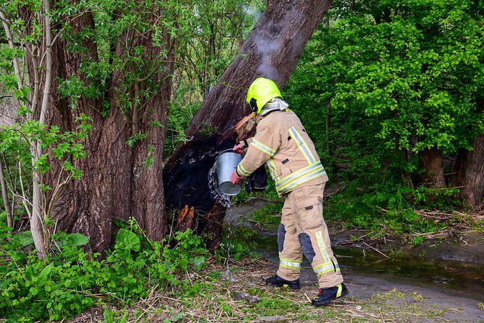 Brandweer blust brandende boom