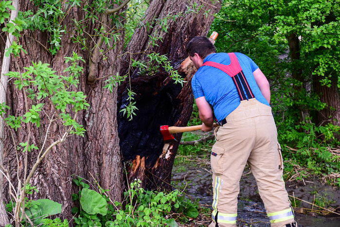 Brandweer blust brandende boom