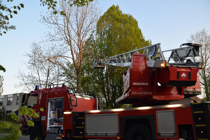 Gevaarlijk hangende tak uit boom gehaald