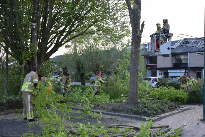 Gevaarlijk hangende tak uit boom gehaald