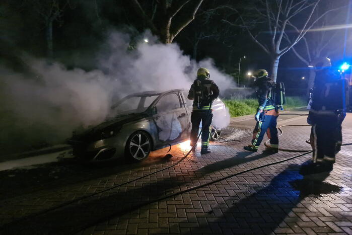 Geparkeerd auto verwoest vanwege brand