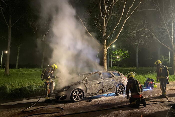 Geparkeerd auto verwoest vanwege brand