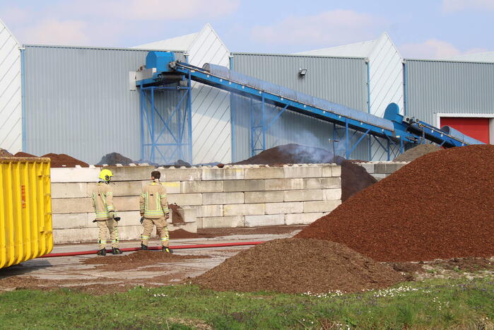 Broei in berg met potgrond