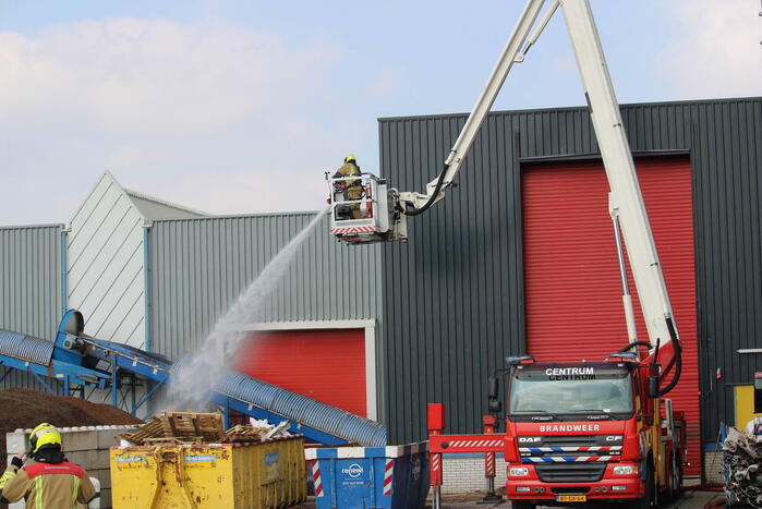 Broei in berg met potgrond