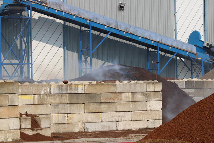 Broei in berg met potgrond