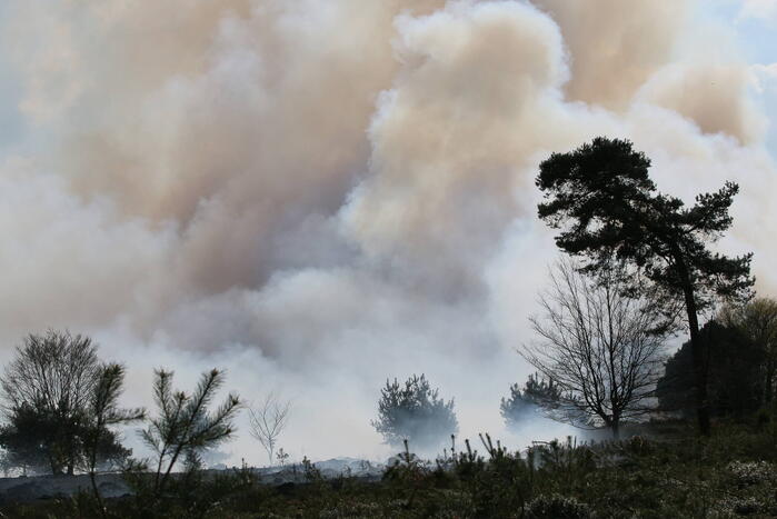 Grote brand in natuurgebied