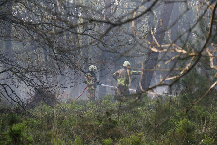 Grote brand in natuurgebied