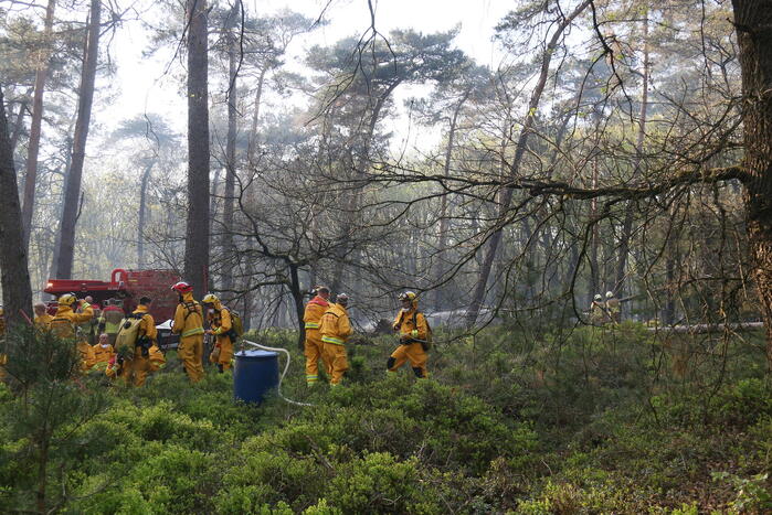 Grote brand in natuurgebied