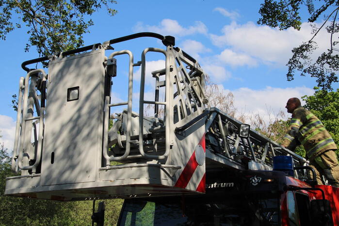 Kat springt uit boom bij reddingsactie