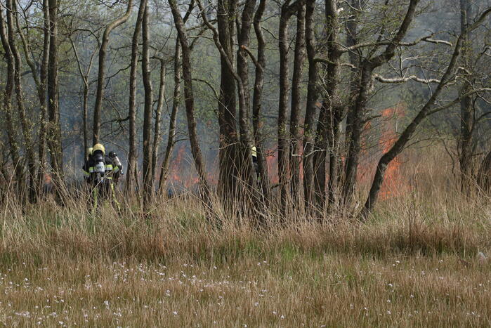 Boswachter ontdekt brand in natuurgebied