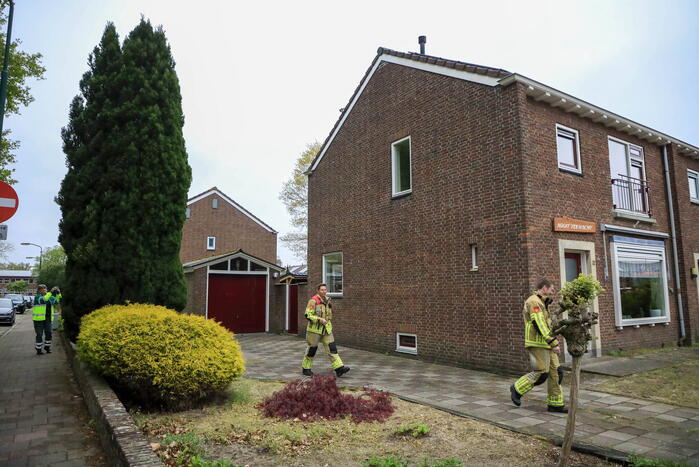 Kat Pika laat zich niet vangen
