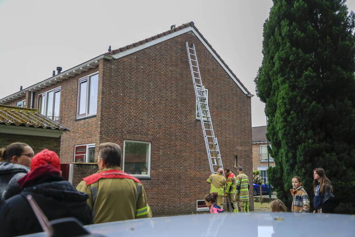 Kat Pika laat zich niet vangen