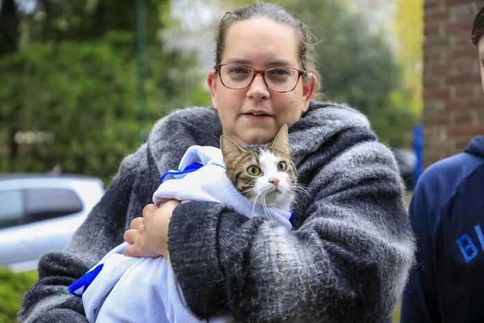 Kat Pika laat zich niet vangen