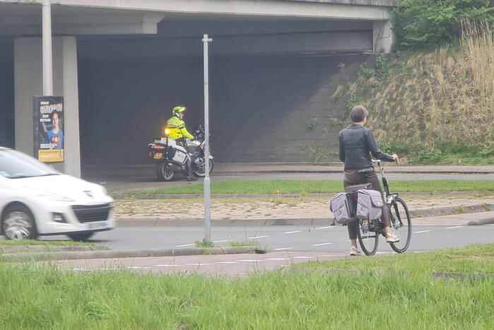Zwaan op de weg houdt politie lang bezig