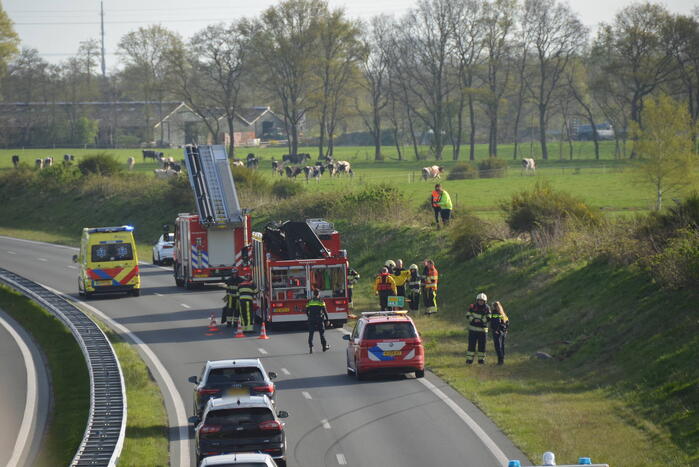 Auto schiet over geluidswal en belandt in sloot