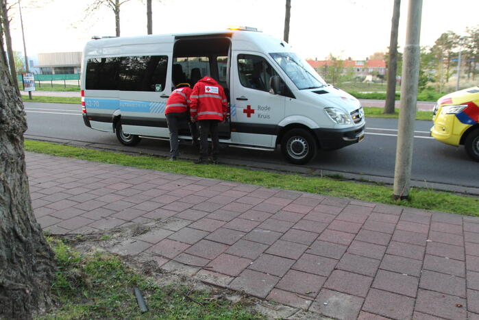 Fietser botst op boom en raakt gewond