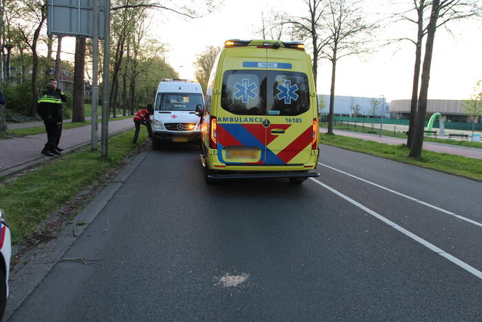 Fietser botst op boom en raakt gewond