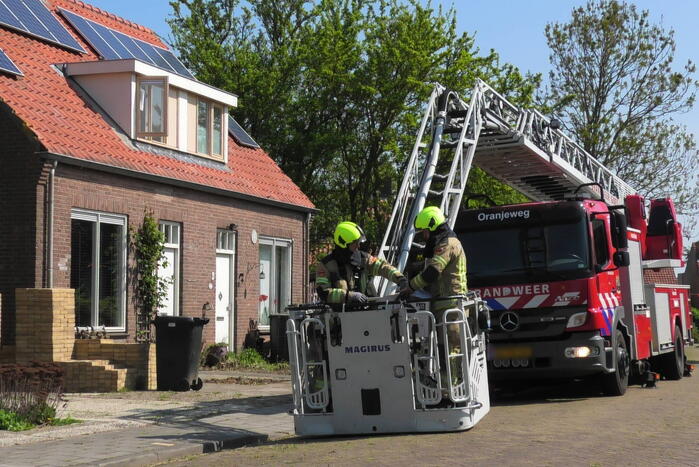 Kraai dagenlang vast in schoorsteen