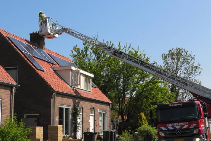 Kraai dagenlang vast in schoorsteen