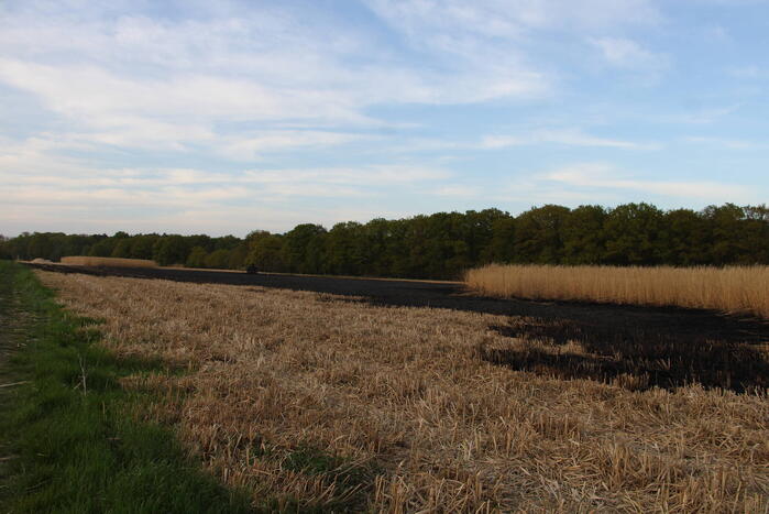 Graanveld grootdeel verwoest vanwege brand