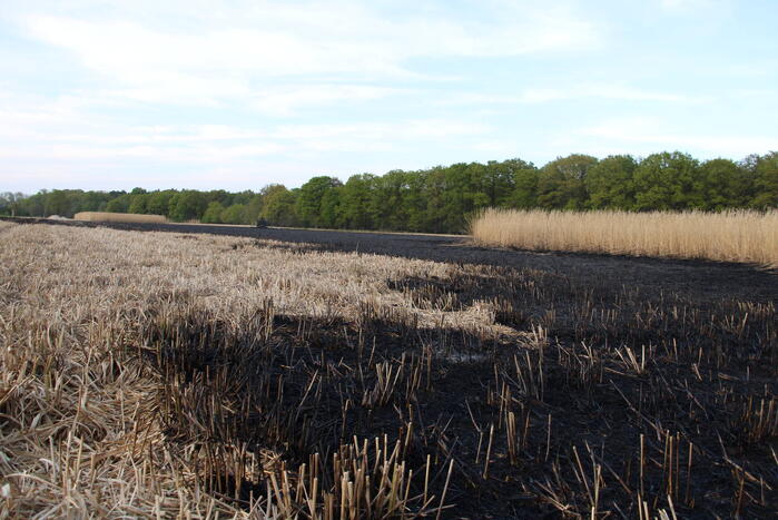 Graanveld grootdeel verwoest vanwege brand