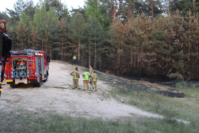 Hardlopers ontdekken bosbrand