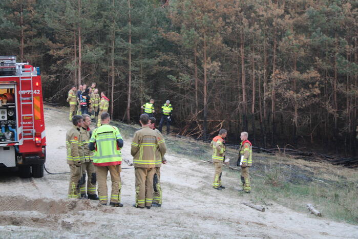 Hardlopers ontdekken bosbrand