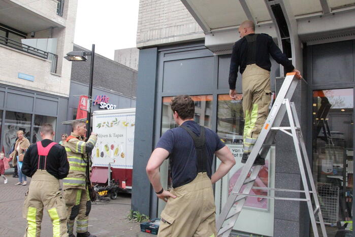 Hulpdiensten redden vastzittende baby-eendjes