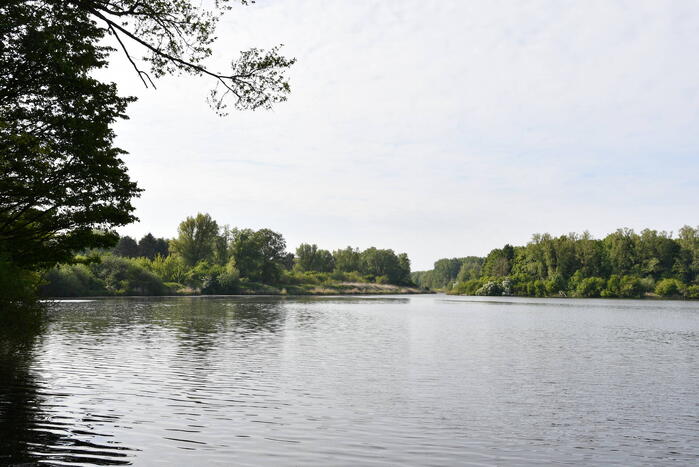 Brandweer druk met zoekgeraakte hond Dash