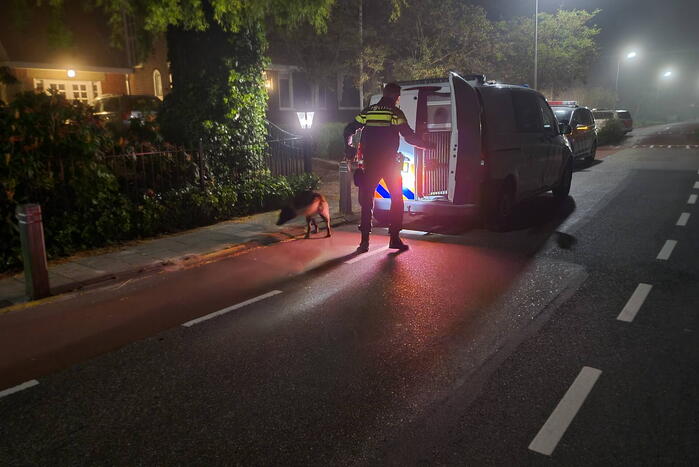 Zoektocht naar overlopen inbrekers