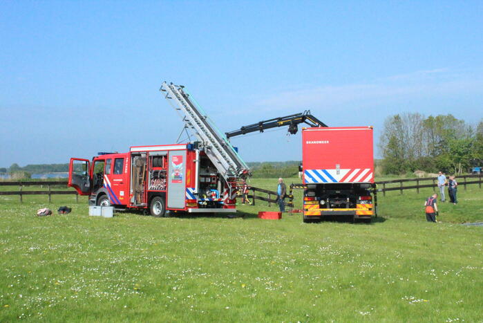 Brandweer redt paard uit sloot