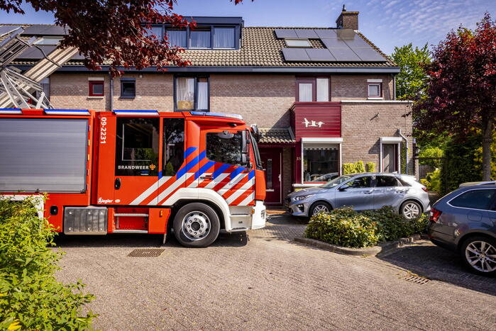 Brandweer redt onbekende kat uit boom