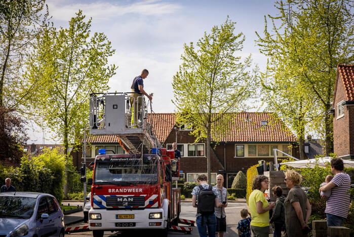 Veel bekijks bij gevaarlijk hangende tak