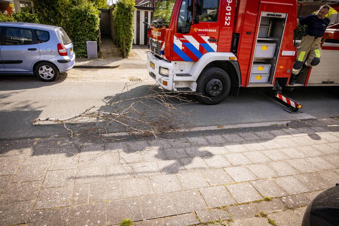 Veel bekijks bij gevaarlijk hangende tak
