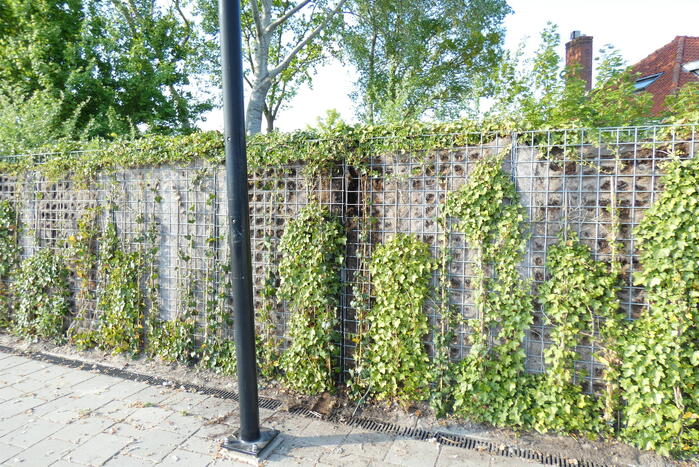 Heg in brand op treinstation